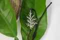 CYPRESS adjustable botanical cord bracelet