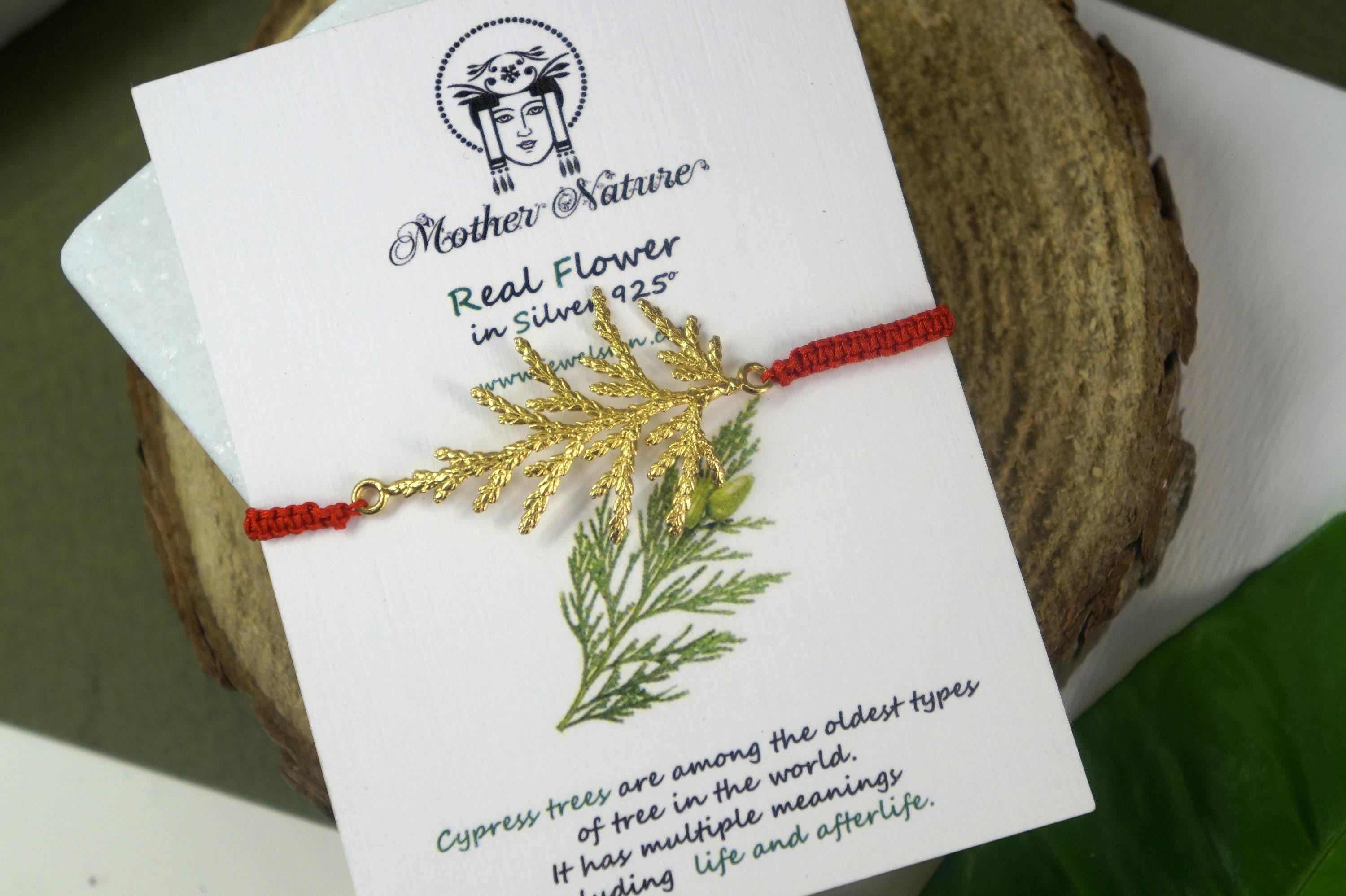 CYPRESS adjustable botanical cord bracelet