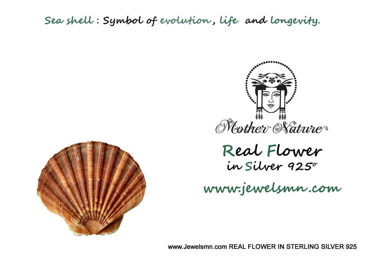 Sea Shell Pendant Necklace