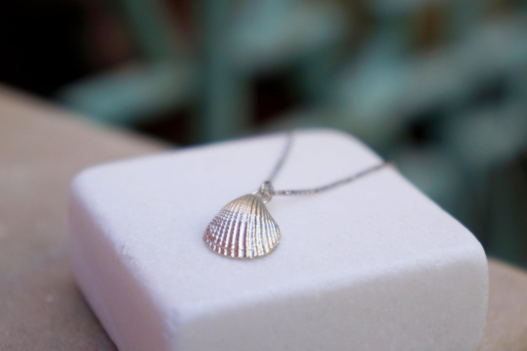Sea Shell Pendant Necklace