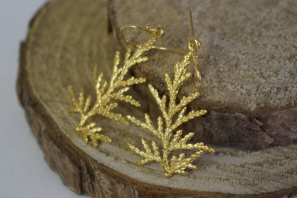 CYPRESS botanical gold-plated drop earrings