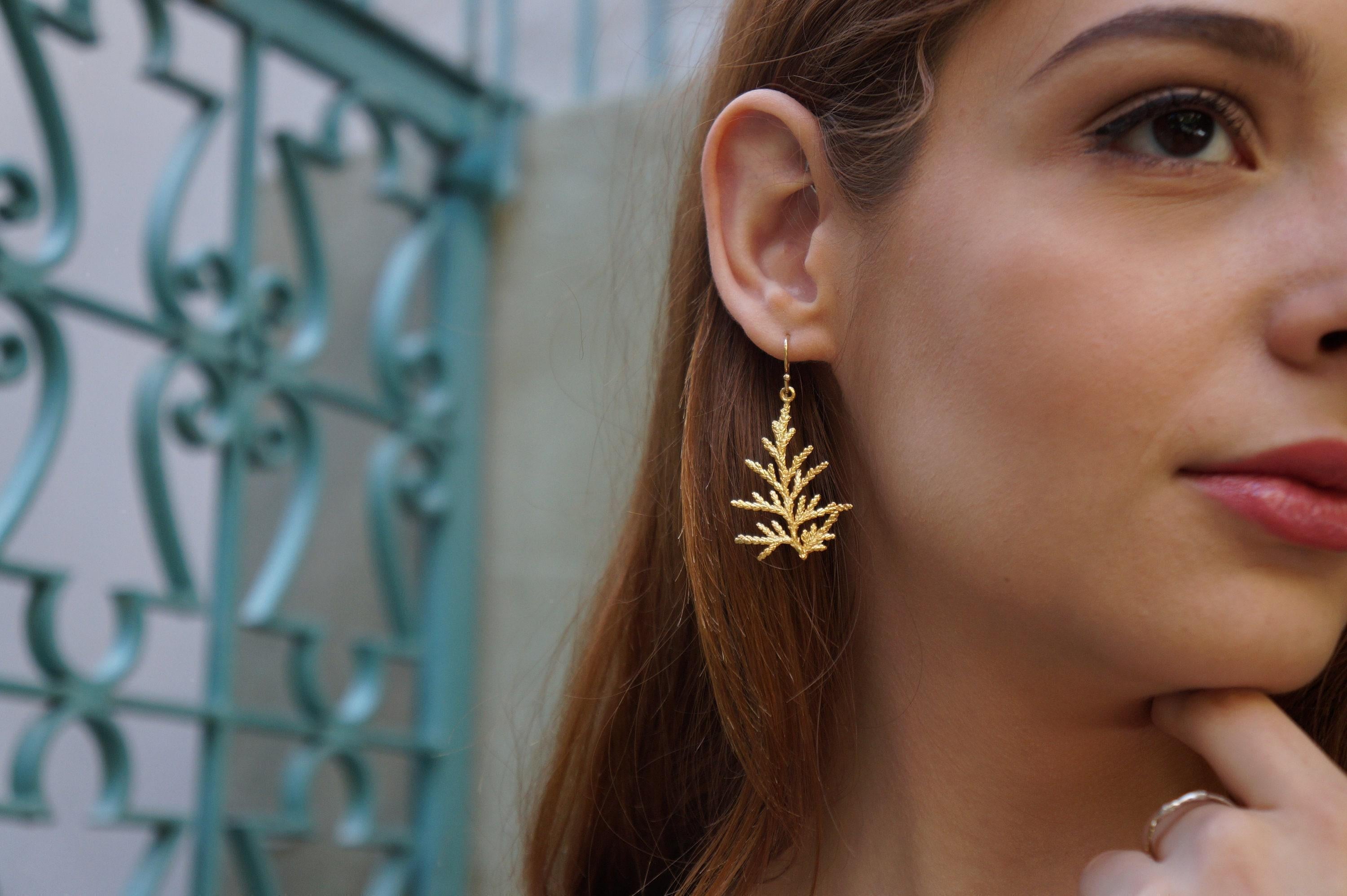 CYPRESS botanical gold-plated drop earrings